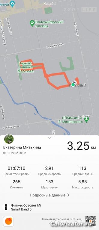 Прогулка 01 ноября 2022