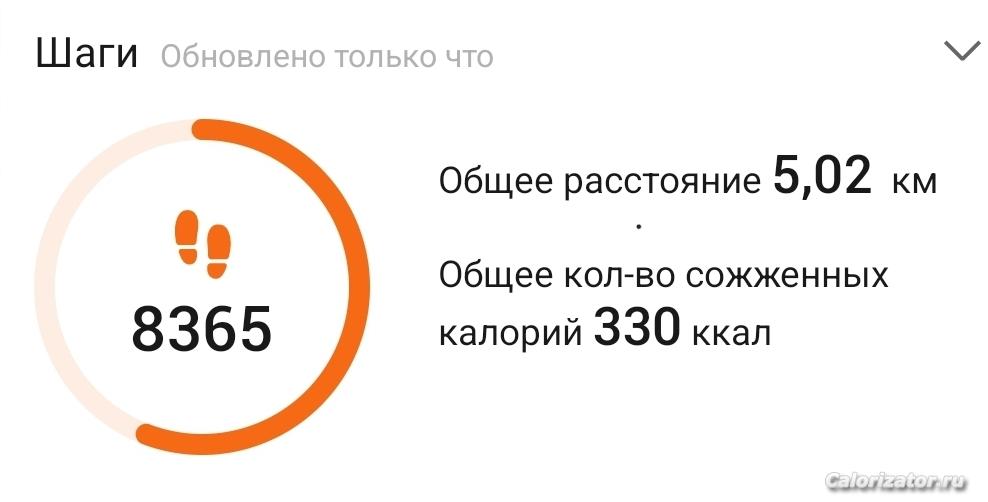 Шаги 01 ноября 2022