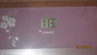 IMG 0739