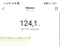 Screenshot 2024-12-01-11-03-58-477 com.xiaomi.hm.health-edit
