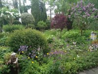IMG 20160521 135713