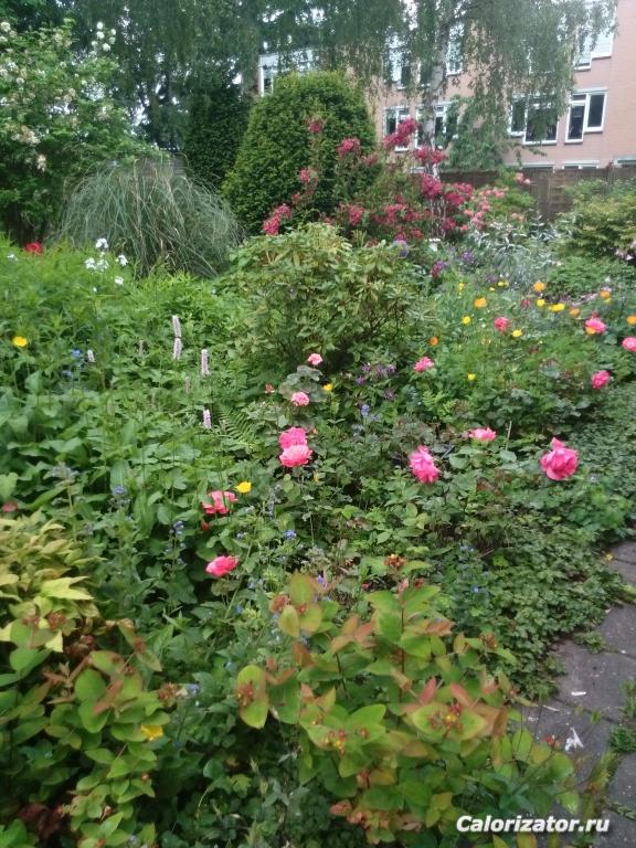 IMG 20160601 145058