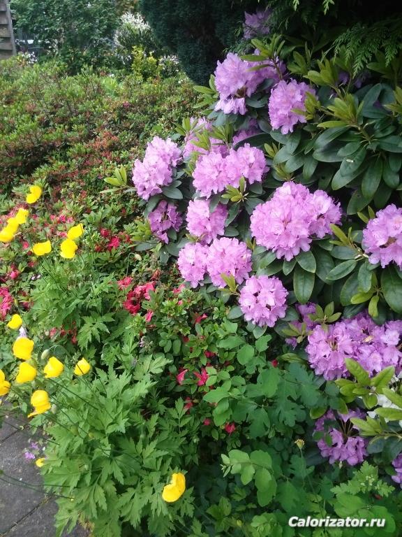 IMG 20160601 145312