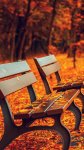 papers.co-mp71-fall-road-mountain-autumn-leave-nature-red-34-iphone6-plus-wallpaper