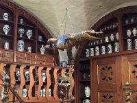 IMG 0082
