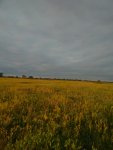 IMG-20190615-WA0009