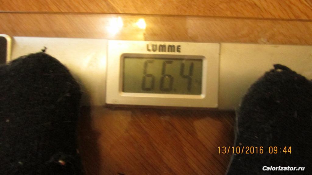 IMG 5390