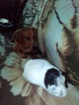 IMG 20170926 102702