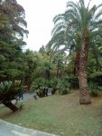 IMG 20171018 101541