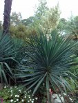 IMG 20171018 101414