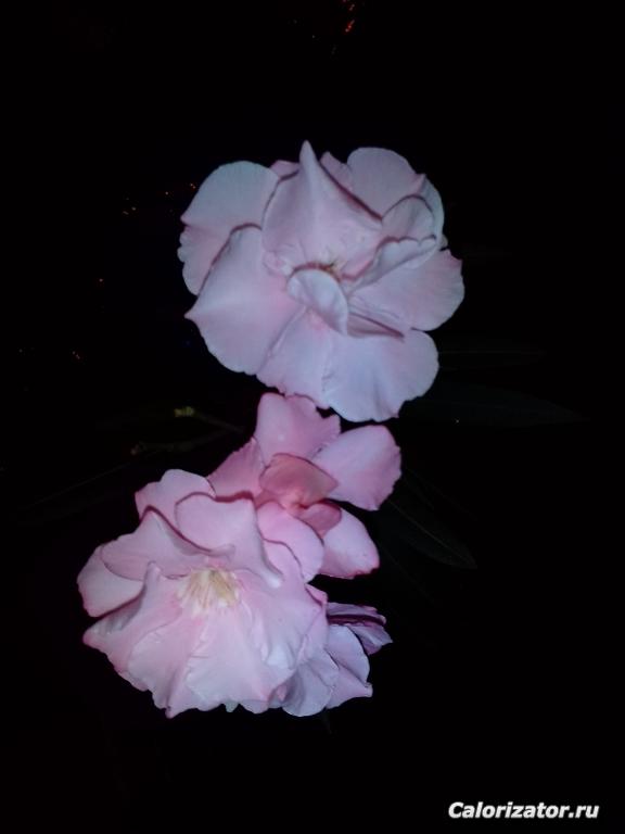 IMG 20180703 210351