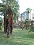 IMG 20180703 181555