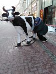 IMG-20190109-WA0001