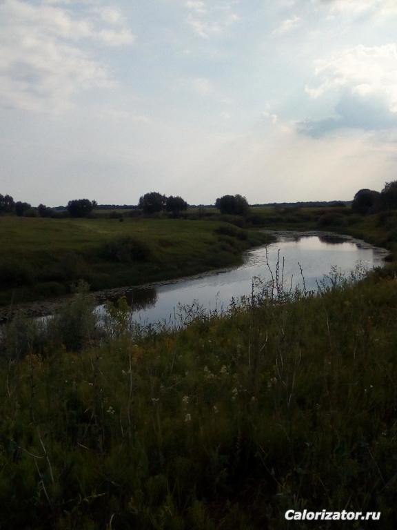 IMG 20190611 074351