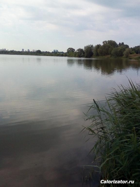 IMG 20190611 080148