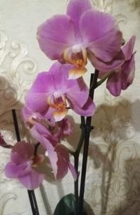 IMG 20200307 184712
