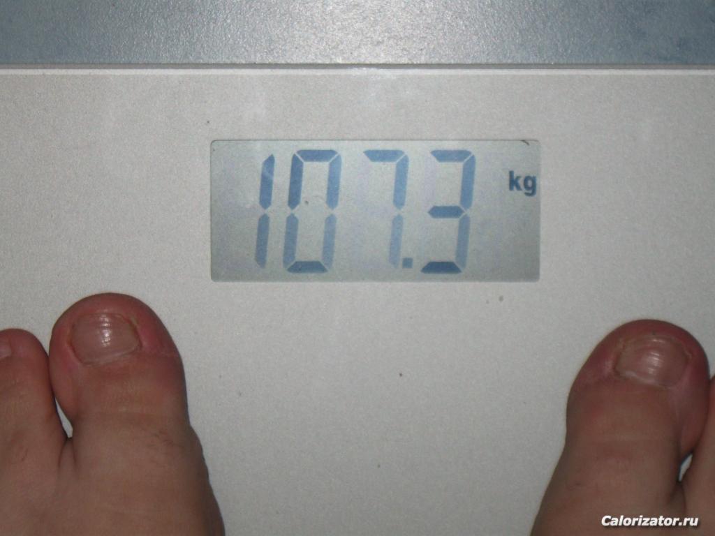 IMG 3282