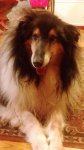IMG-20151218-WA0011
