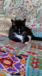 IMG-20160311-WA0025