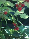 3278AB84-02C8-4119-8B3D-5B1557D78AE4