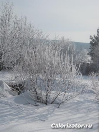 зима