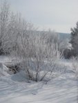 зима