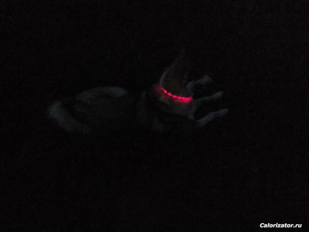 IMG 20170816 200621