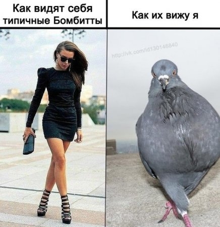 страус