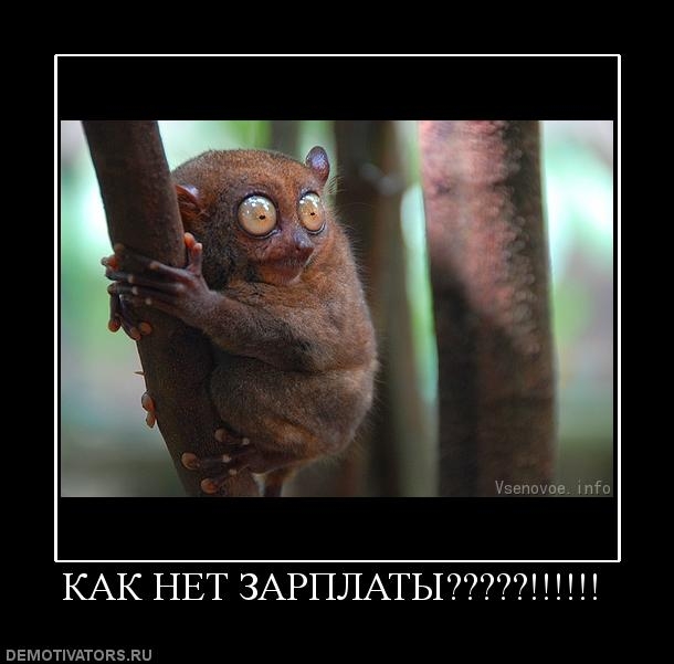 1239175934 425694 kak-net-zarplatyi