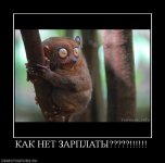 1239175934 425694 kak-net-zarplatyi