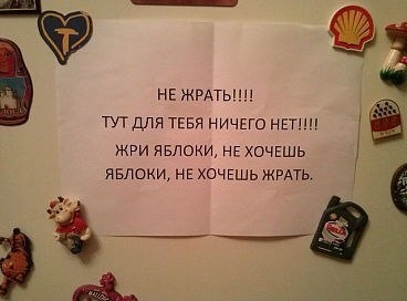 -XtHoHovzs