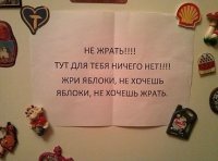 -XtHoHovzs