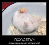 Похудеть