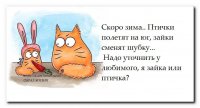 шубка
