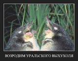 аватара