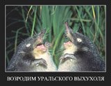 аватара