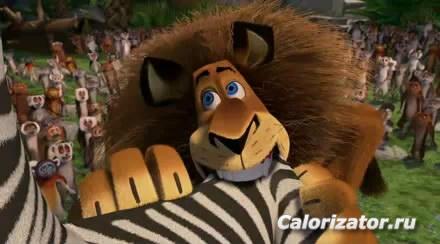 Madagascar 4 player