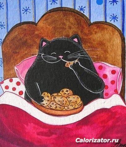 кот с печеньками