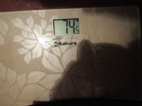 02 февр 2017