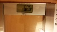 20170206 065626[1]