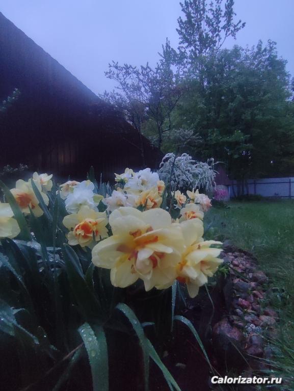 IMG 20250526 222601