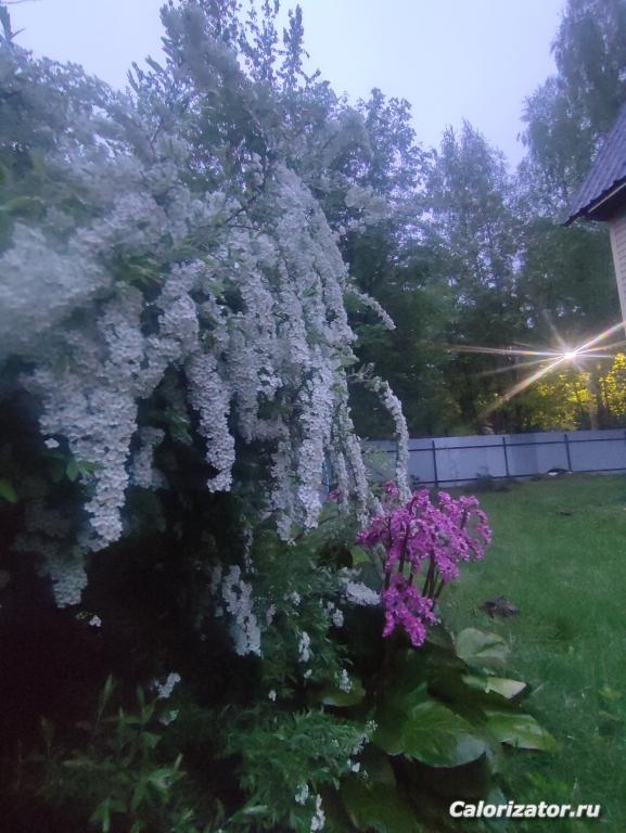 IMG 20250526 222622