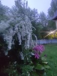 IMG 20250526 222622