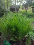 IMG-20250606-WA0054