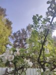 IMG-20250606-WA0051
