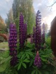 IMG 20250622 214023