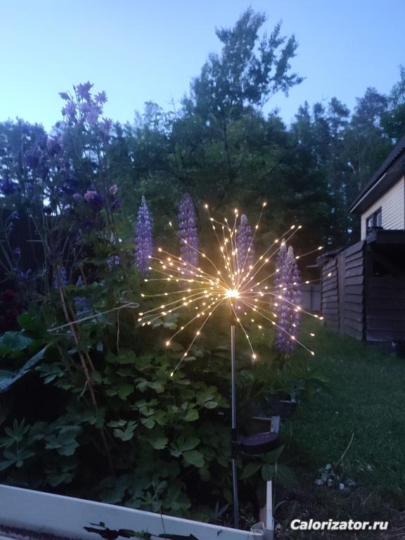 IMG 20250626 234757