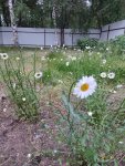 IMG 20250628 215430