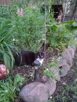IMG-20250701-WA0006