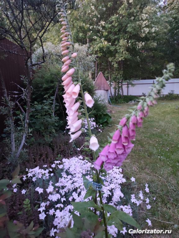 IMG 20250704 231006